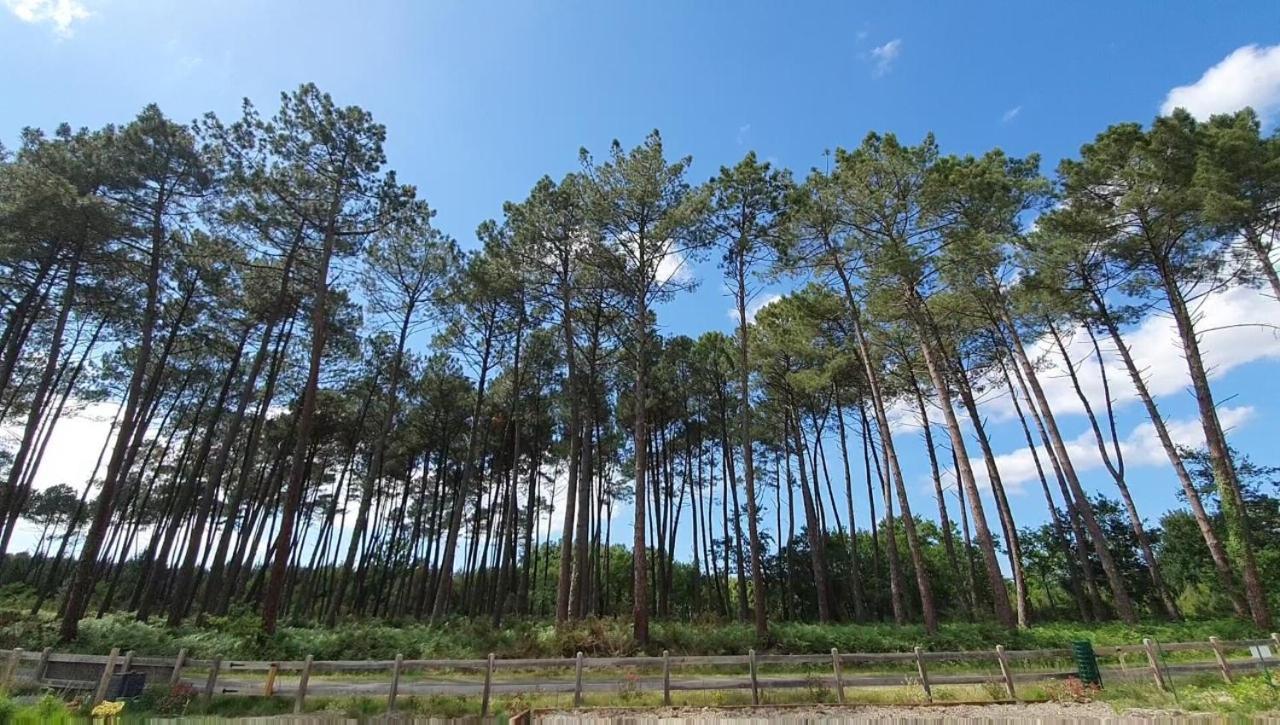 Maison Gemme A Landes 莱昂 外观 照片